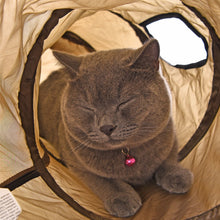 Fun Cat Tunnel Toy with 2 Windows - Endless Adventure! - Heavy Metal Jewelry Clothing 